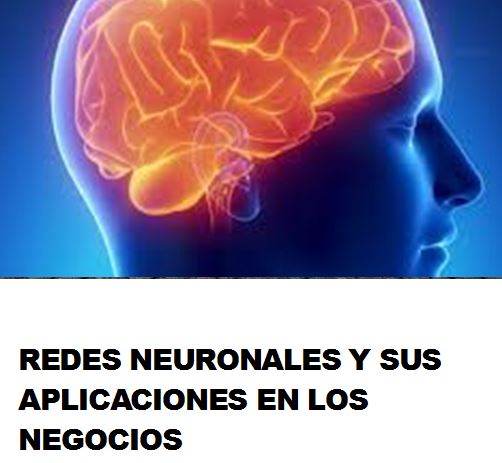 Entrevista Redes Neuronales y su aplicacion en los negocios